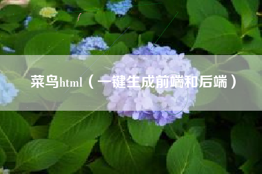 菜鸟html（一键生成前端和后端）
