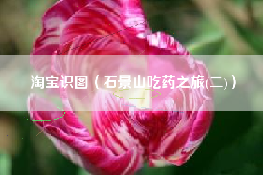 淘宝识图(石景山吃药之旅(二))