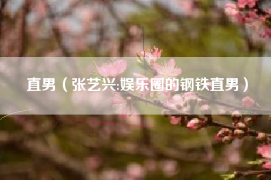 直男（张艺兴:娱乐圈的钢铁直男）
