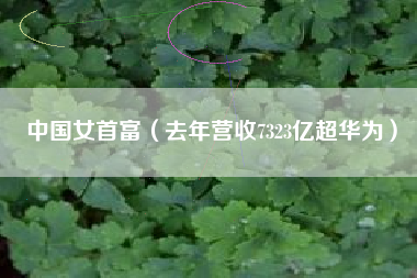中国女首富（去年营收7323亿超华为）
