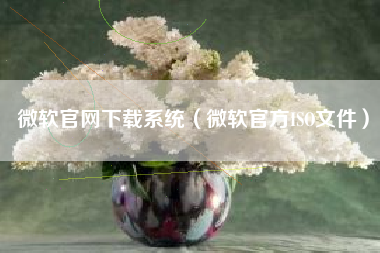 微软官网下载系统（微软官方ISO文件）