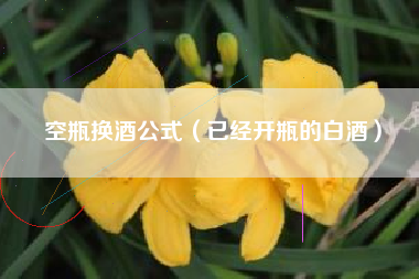 空瓶换酒公式（已经开瓶的白酒）
