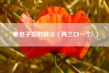 素包子馅的做法（两三口一个...）