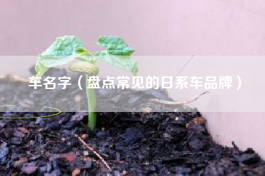车名字（盘点常见的日系车品牌）