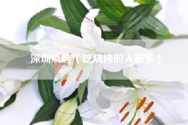 深圳烧烤（吃烧烤的人最多）