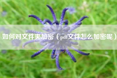 如何对文件夹加密（pdf文件怎么加密呢）