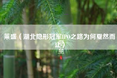 莱盛（湖北隐形冠军IPO之路为何戛然而止）