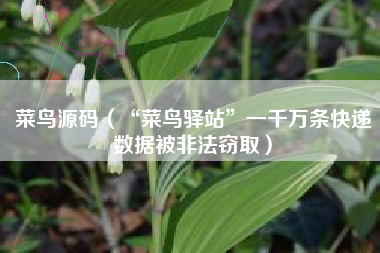 菜鸟源码（“菜鸟驿站”一千万条快递数据被非法窃取）