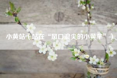 小黄站(站在“风口浪尖的小黄车”)
