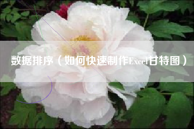 数据排序(如何快速制作Excel甘特图)