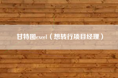 甘特图excel(想转行项目经理)