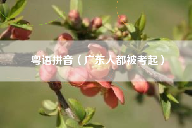 粤语拼音（广东人都被考起）