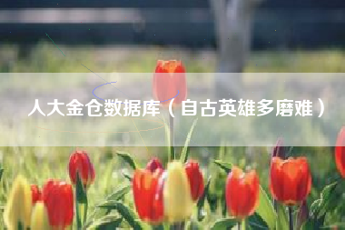 人大金仓数据库（自古英雄多磨难）