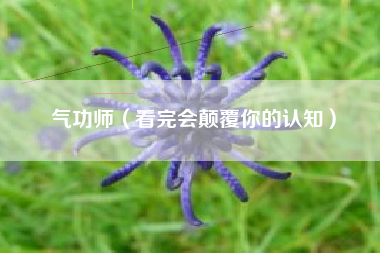 气功师（看完会颠覆你的认知）