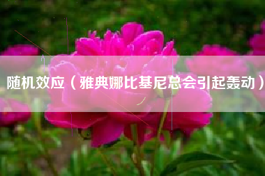 随机效应(雅典娜比基尼总会引起轰动)