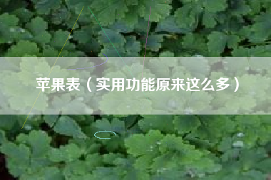 苹果表(实用功能原来这么多)