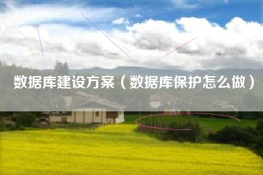 数据库建设方案（数据库保护怎么做）