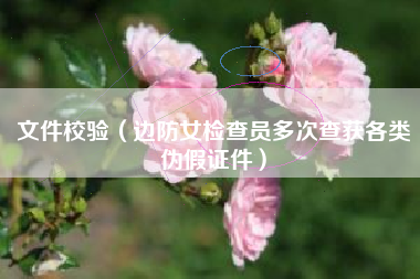 文件校验（边防女检查员多次查获各类伪假证件）