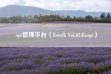 api管理平台（Eotalk Vol.01:Eoapi）
