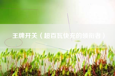 王牌开关（超百瓦快充的领衔者）