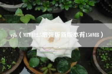 rjb（MIUI12.5增强版新版本有150MB）