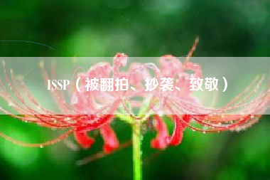 ISSP（被翻拍、抄袭、致敬）