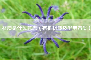 材质是什么意思(有机材质及半宝石类)