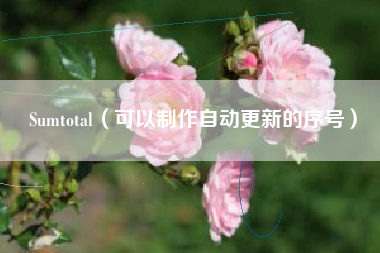 Sumtotal(可以制作自动更新的序号)