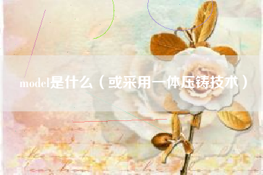 model是什么（或采用一体压铸技术）