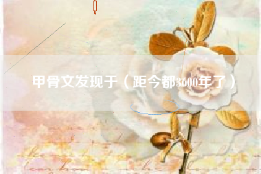 甲骨文发现于(距今都3600年了)