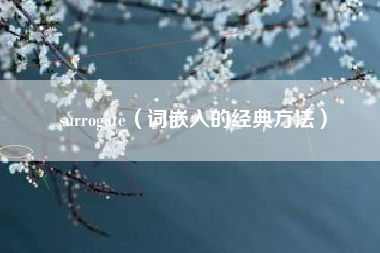 surrogate(词嵌入的经典方法)