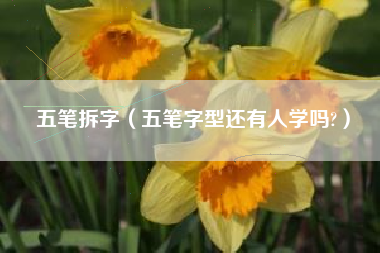五笔拆字（五笔字型还有人学吗?）