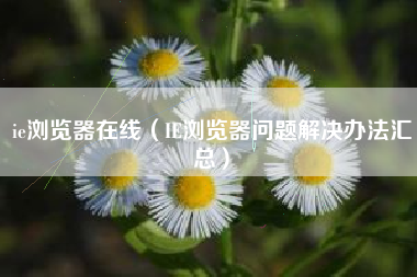 ie浏览器在线（IE浏览器问题解决办法汇总）