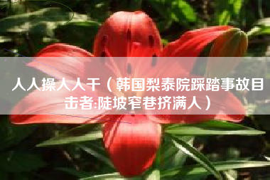 人人操人人干(韩国梨泰院踩踏事故目击者:陡坡窄巷挤满人)