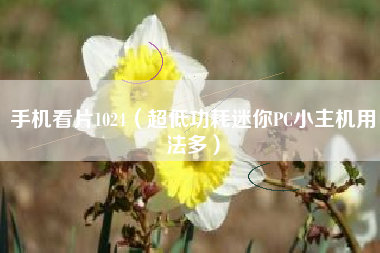 手机看片1024(超低功耗迷你PC小主机用法多)