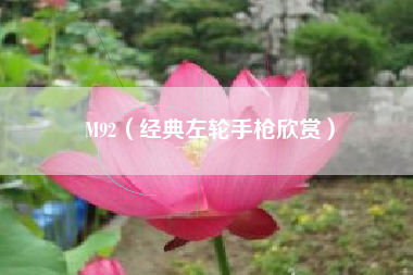 M92(经典左轮手枪欣赏)