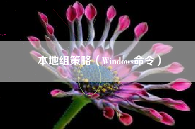 本地组策略（Windows命令）