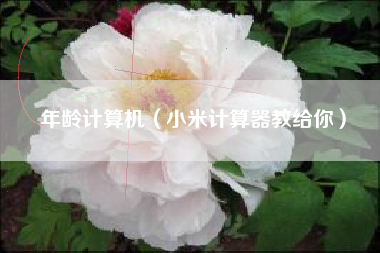 年龄计算机（小米计算器教给你）