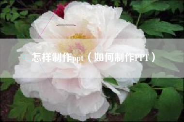 怎样制作ppt（如何制作PPT）