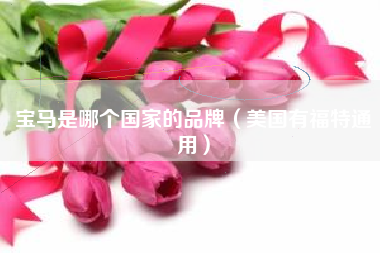 宝马是哪个国家的品牌（美国有福特通用）