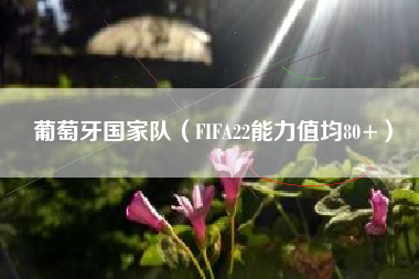 葡萄牙国家队（FIFA22能力值均80+）