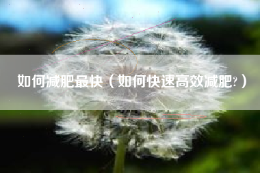 如何减肥最快（如何快速高效减肥?）