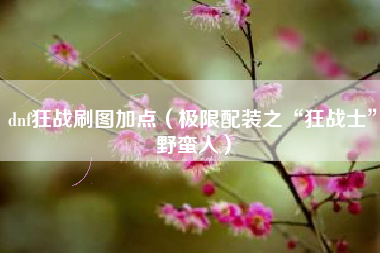 dnf狂战刷图加点（极限配装之“狂战士”野蛮人）