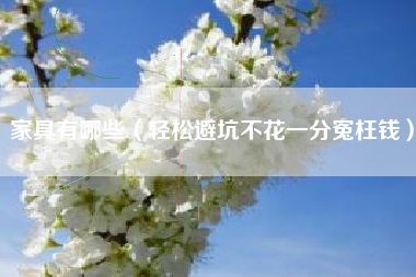家具有哪些(轻松避坑不花一分冤枉钱)
