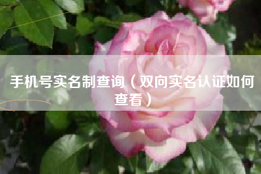 手机号实名制查询(双向实名认证如何查看)