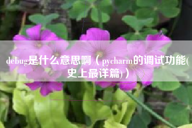 debug是什么意思啊(pycharm的调试功能(史上最详篇))