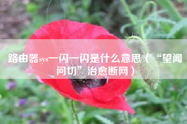 路由器sys一闪一闪是什么意思（“望闻问切”治愈断网）