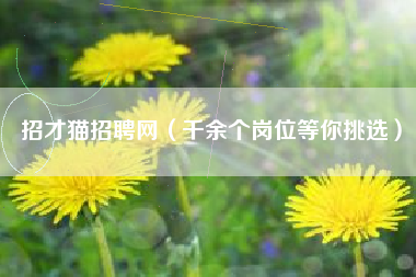 招才猫招聘网(千余个岗位等你挑选)