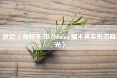 鼠绘（海贼王:磁力&糯米果实形态曝光）
