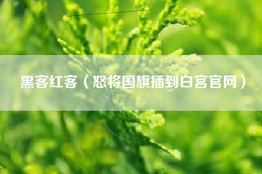 黑客红客(怒将国旗插到白宫官网)